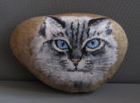 Katze auf Stein gemalt